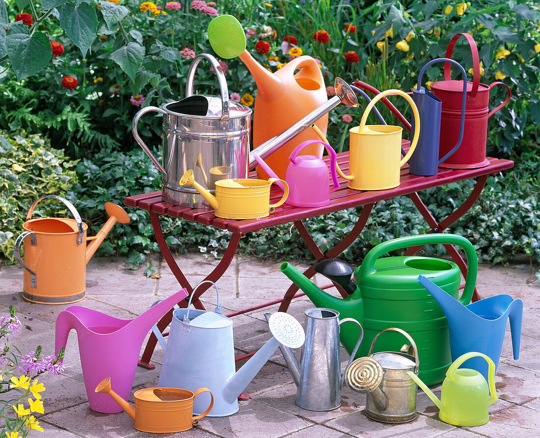 Various watering cans of plastic and metal