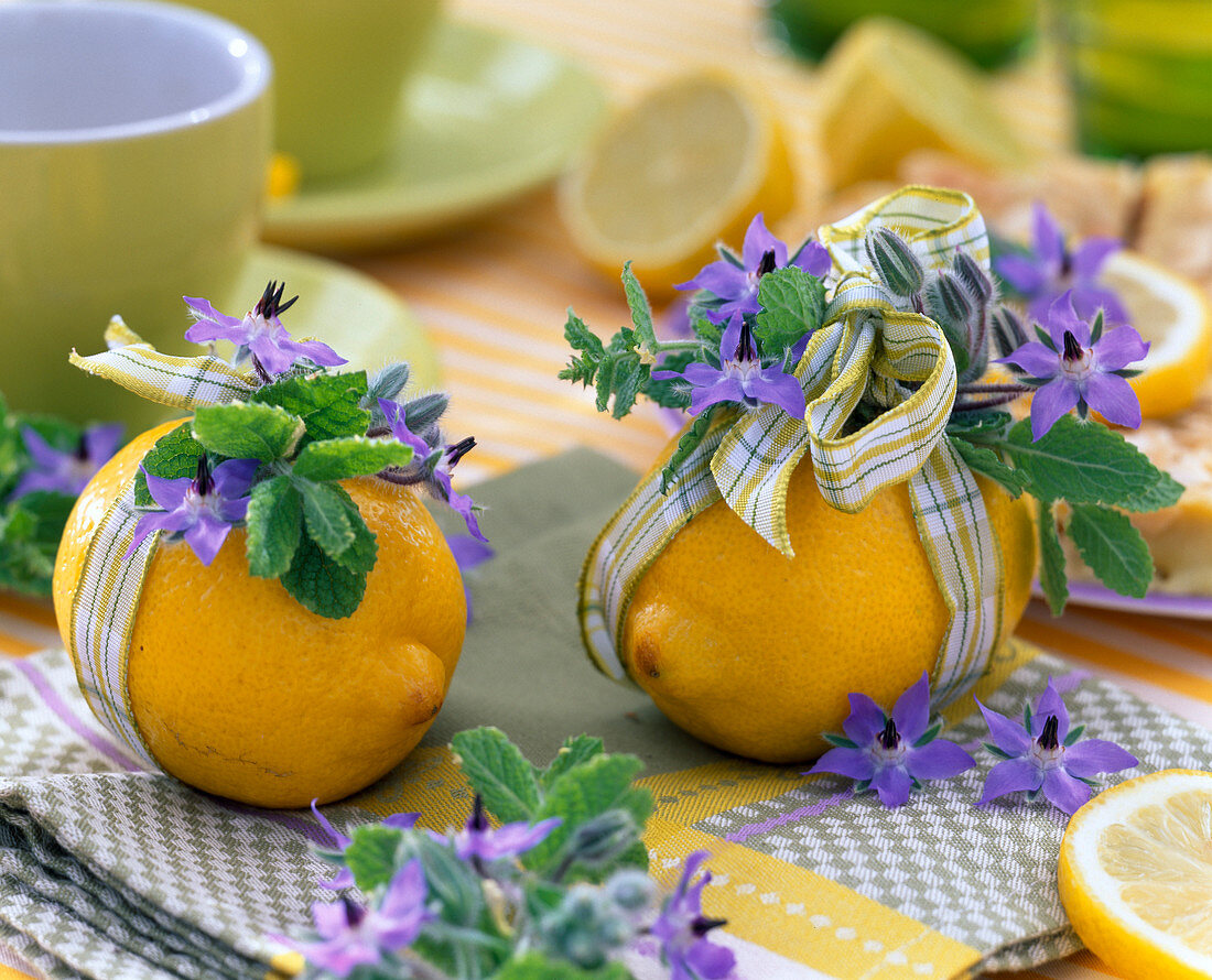 Citrus limon (lemons)