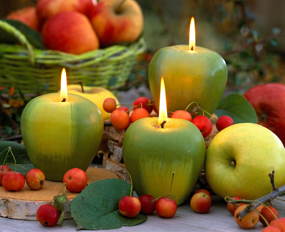 Apfelkerzen mit Malus (Äpfel und Zieräpfel)