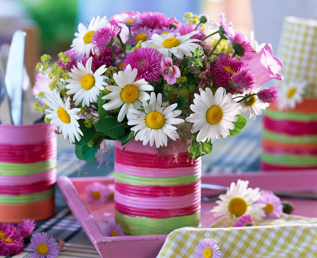 Leucanthemum (Margerite), Erigeron (Feinstrahlaster)