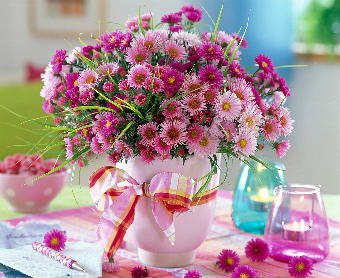 Aster (rosa und pinke Astern)