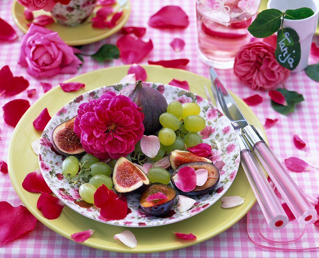 Pink (rose), flowers and petals