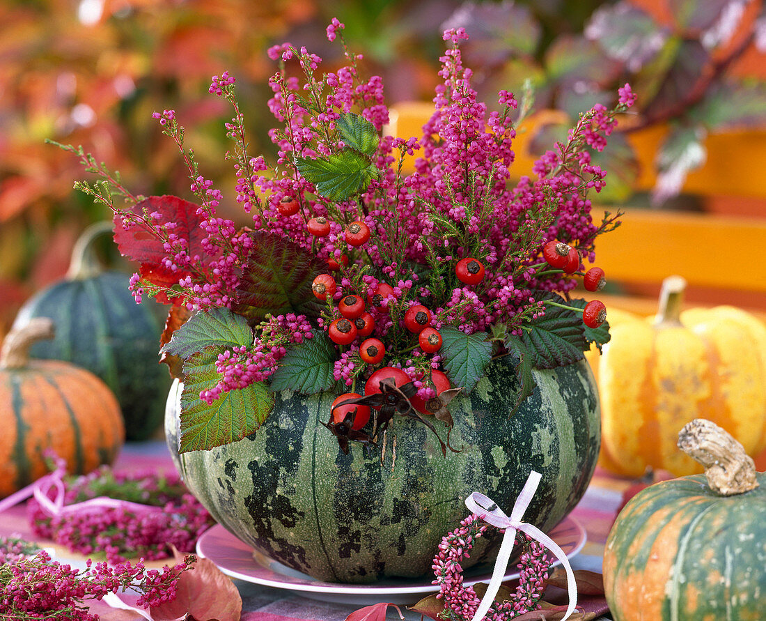 Cucurbita (Kürbis) als Vase ausgehöhlt, gefüllt mit Strauß