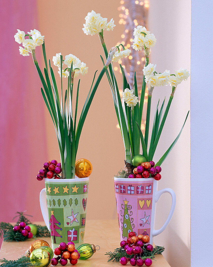 Narcissus 'Bridal Crown' in Christmas cups, tree decorations