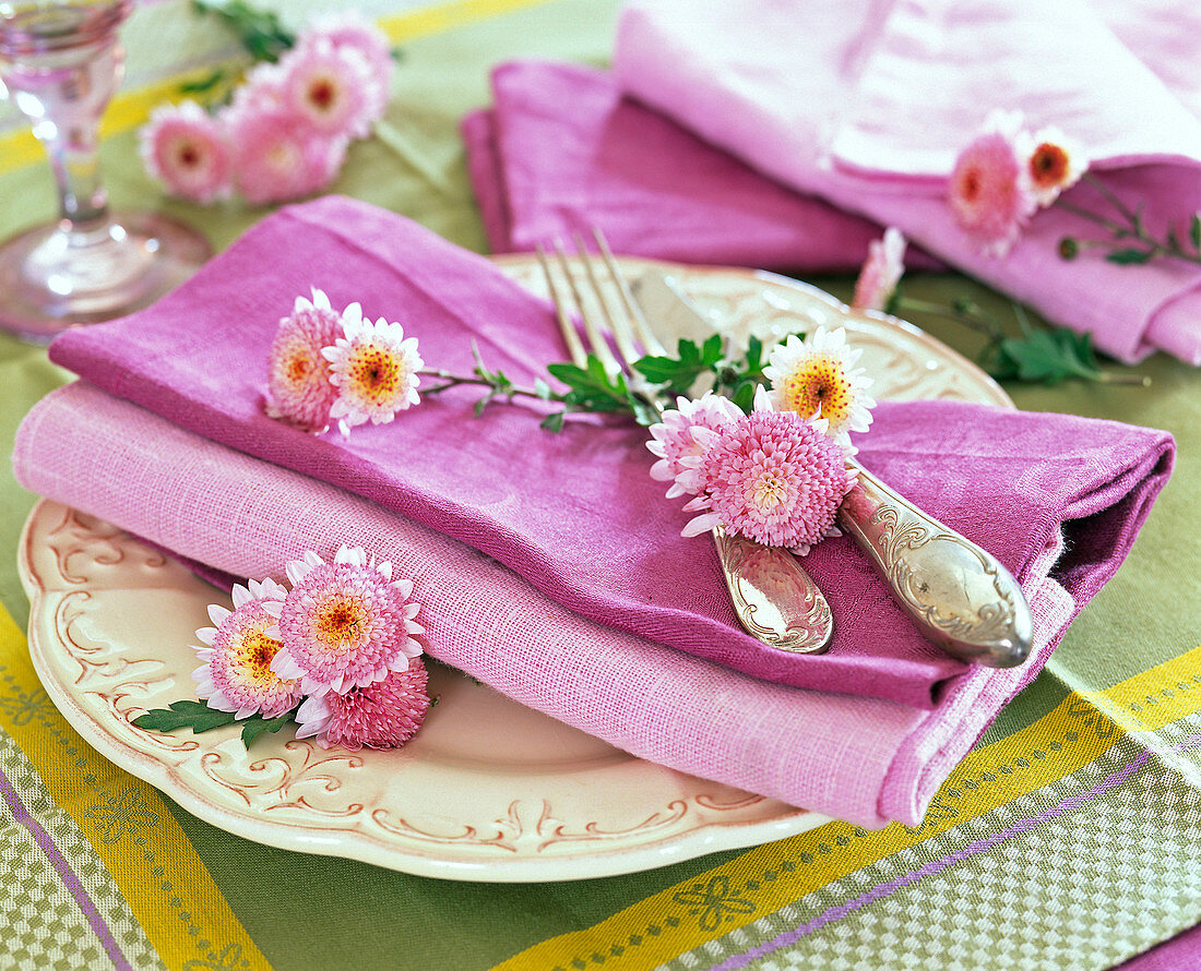 Chrysanthemum (chrysanthemum) blossoms on pink napkin