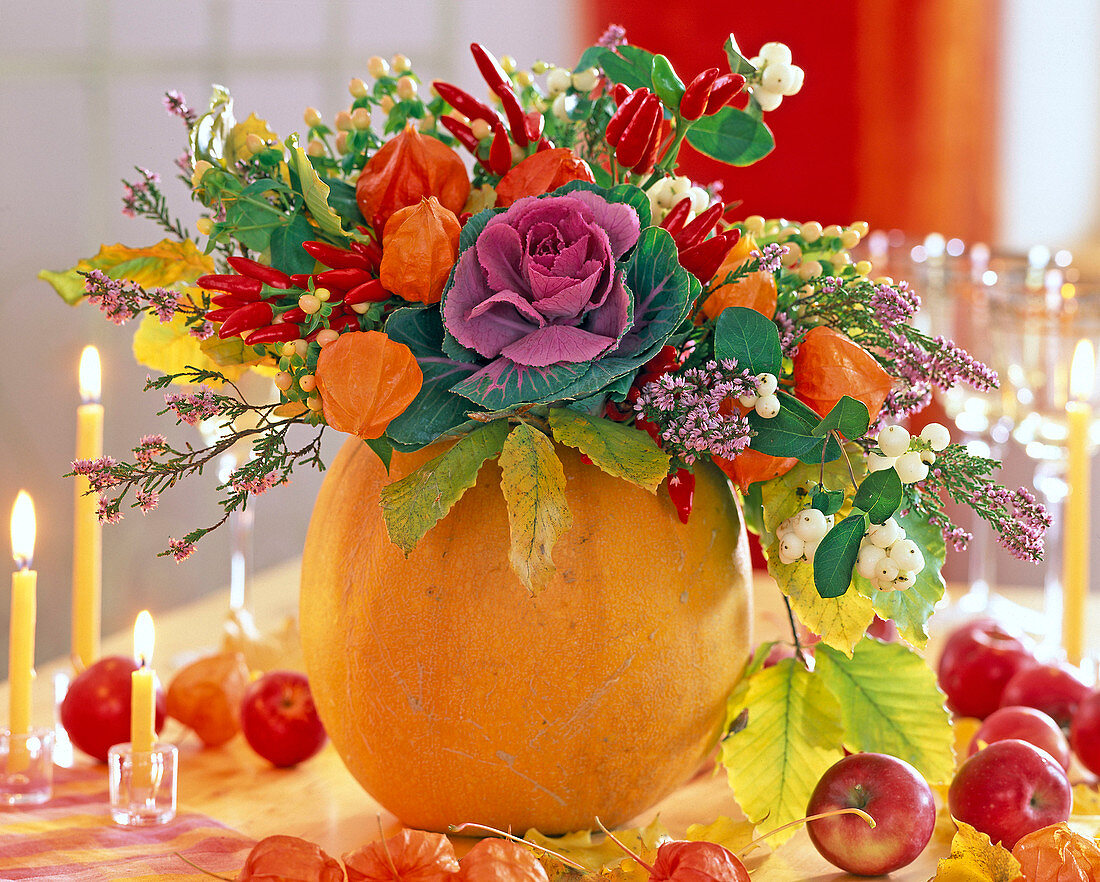 Cucurbita as a vase, Brassica, Physalis