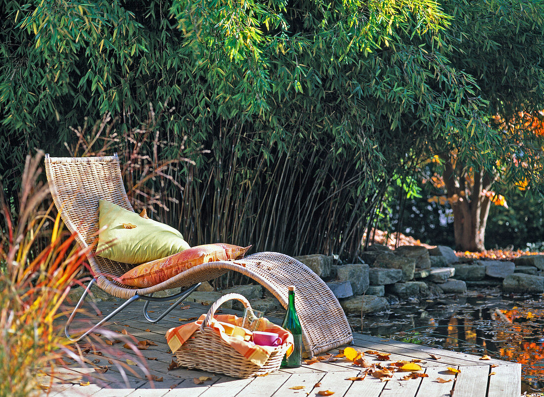 Liegestuhl vor Phyllostachys (Bambus) am Teich