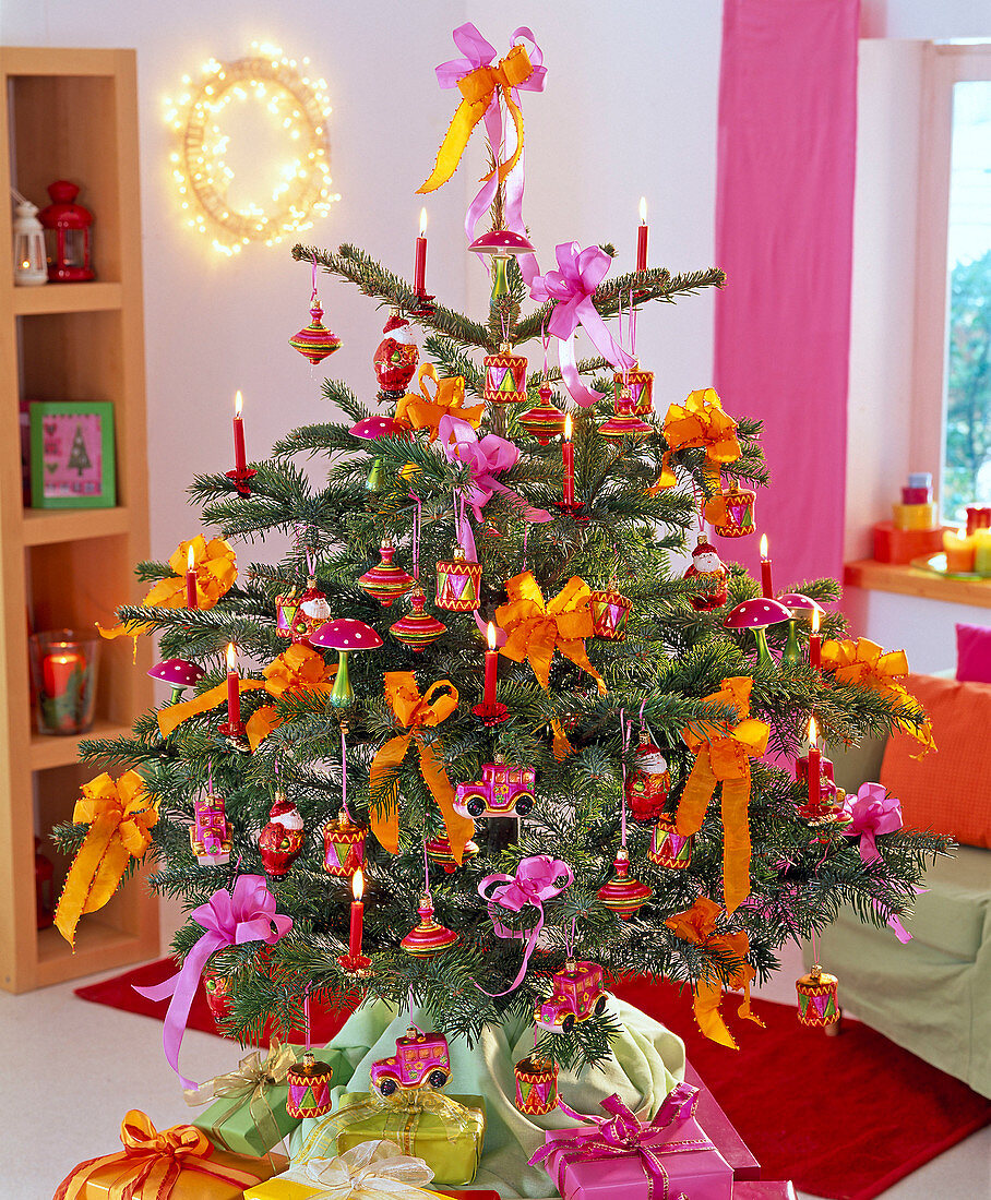 Abies nordmanniana (Nordmanntanne) als Weihnachtsbaum mit roten Kerzen