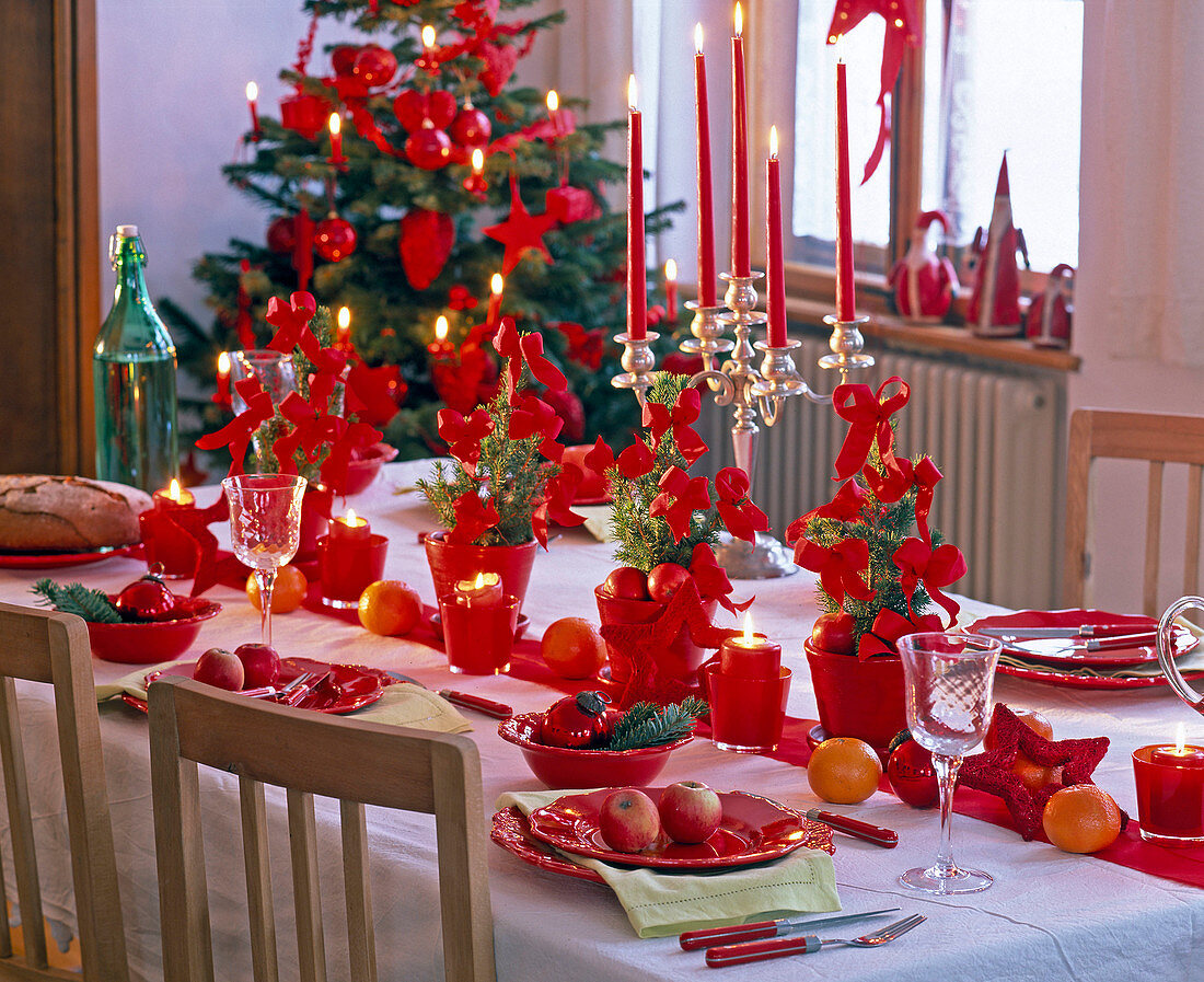 Tischdekoration mit Picea glauca 'Conica' in roten Töpfen und roten