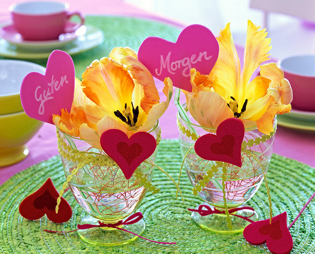 Blüten von Tulipa (Tulpen) in Gläsern mit Blümchenband