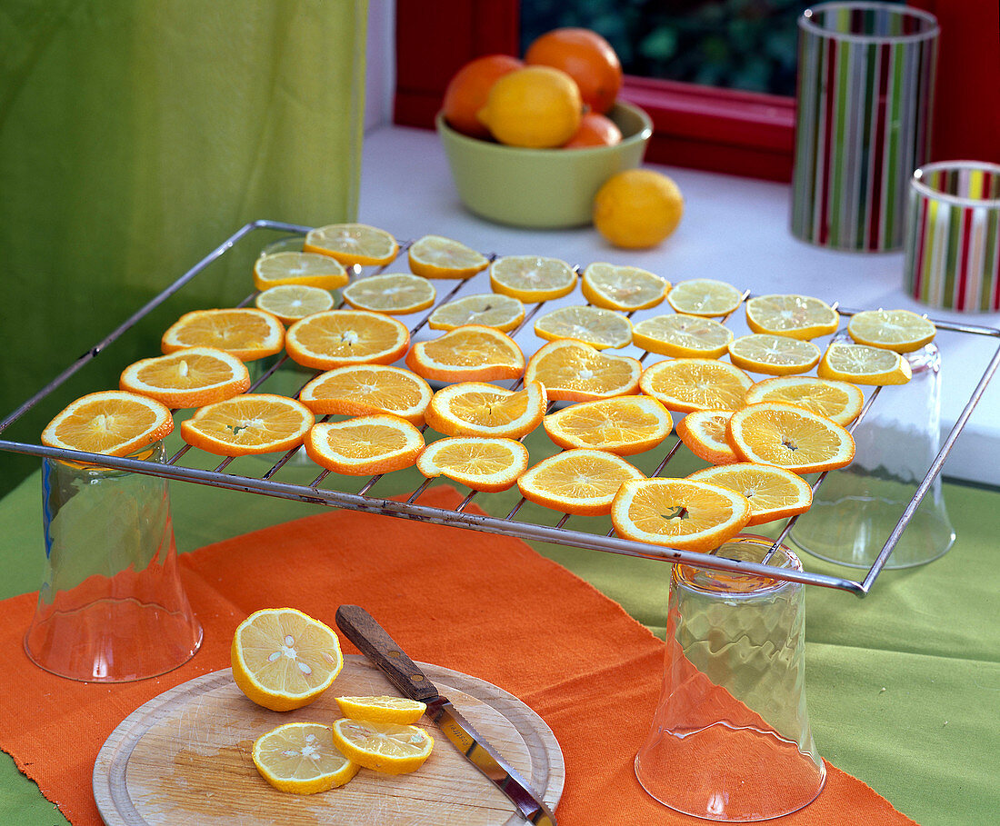 Orangen-, Zitronenscheiben trocknen: Citrus (Orangen), dahinter Zitronen