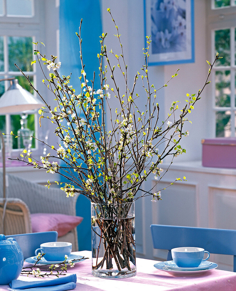 Strauß aus Prunus (Kirsche) und Betula (Birke) in Glasvase, blaues Geschirr
