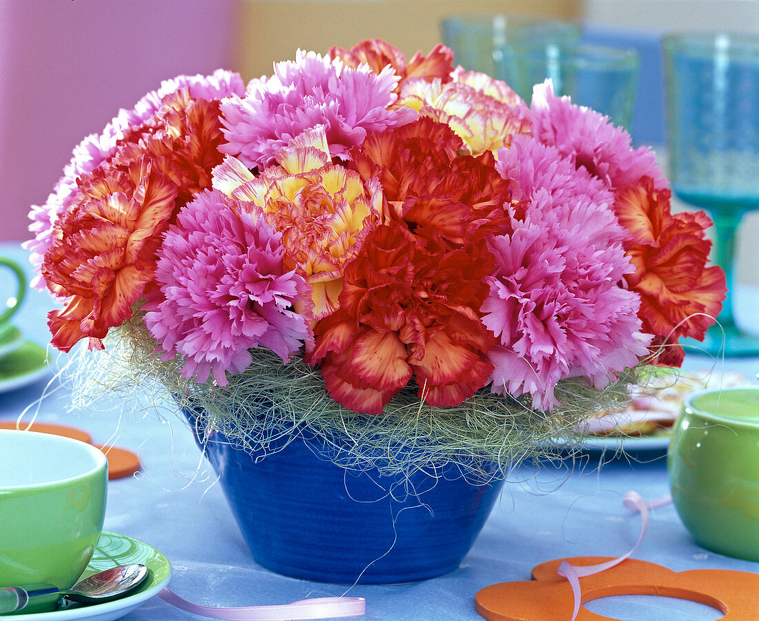Arrangement of Dianthus (carnation) with sisal cuff