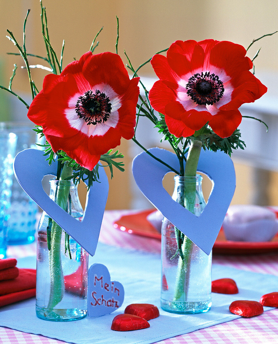 Rote Blüten von Anemone mit Zweigen von Vaccinium, Valentin