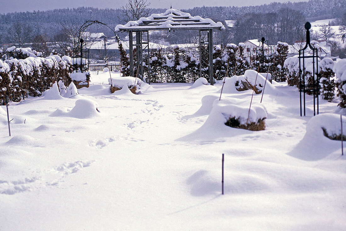 Snowy garden with wooden pavilion
