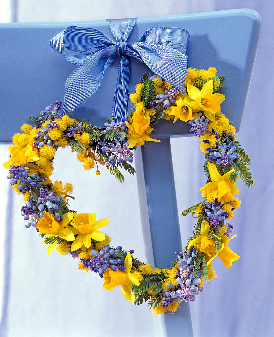Blue - yellow heart with daffodils