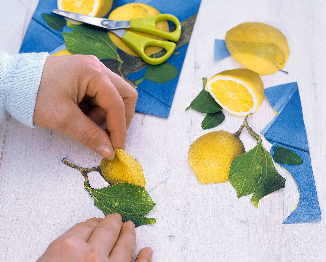 Citrus in Töpfen mit Serviettendeko: 1/3