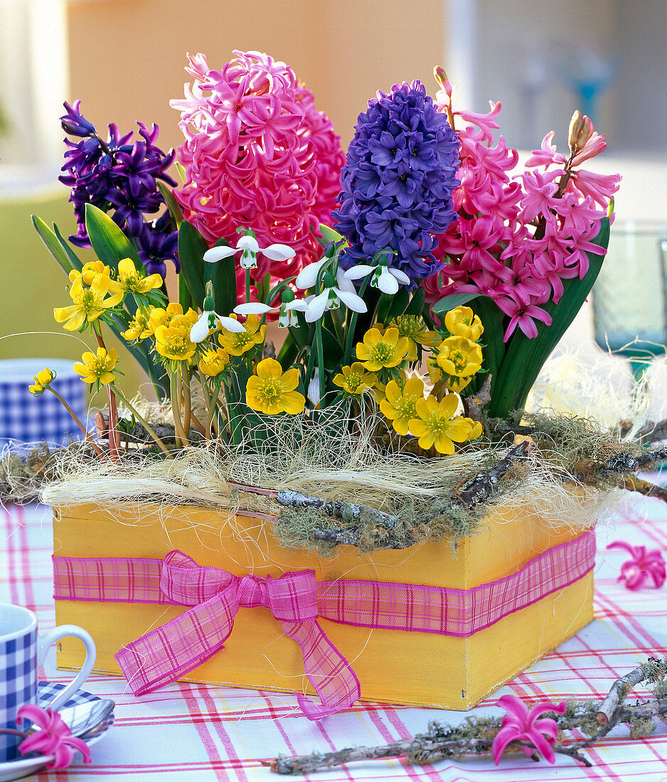 Eranthis, Galanthus and Hyacinthus