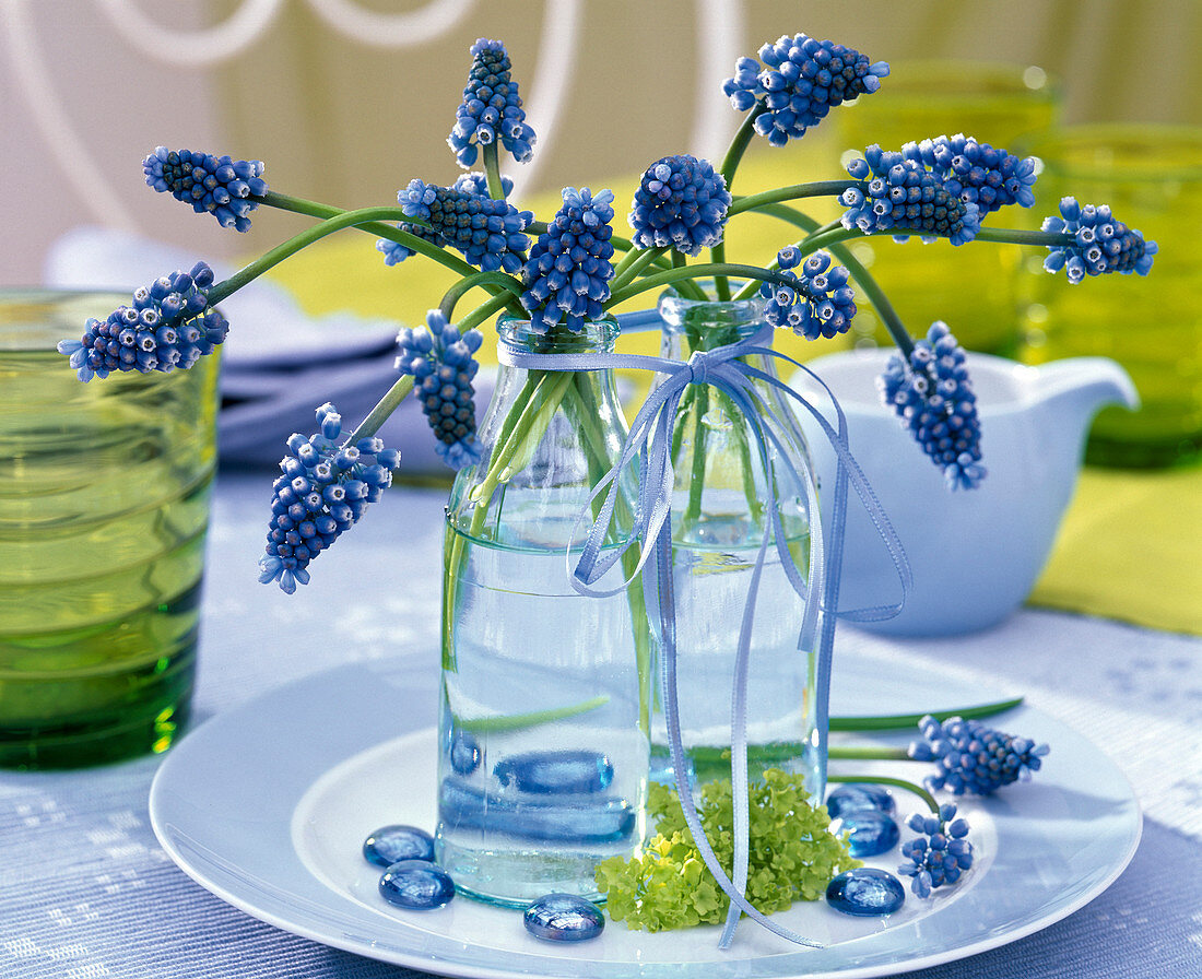 Bouquets of muscari in glass bottles, glass lenses