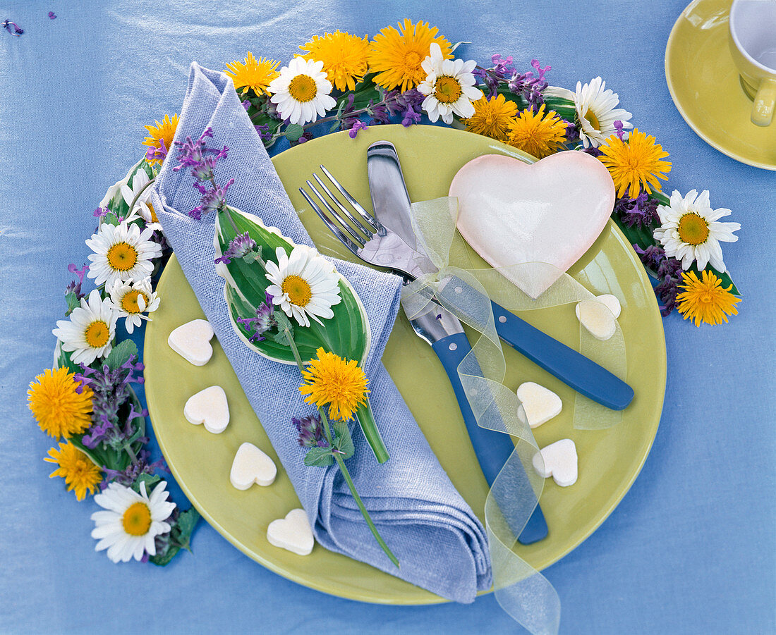 Wreath of flowers of Leucanthemum, Taraxacum