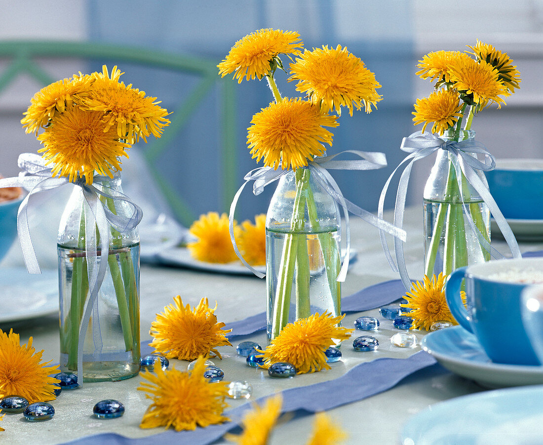 Sträuße aus Taraxacum (Löwenzahn) in kleinen Glasflaschen