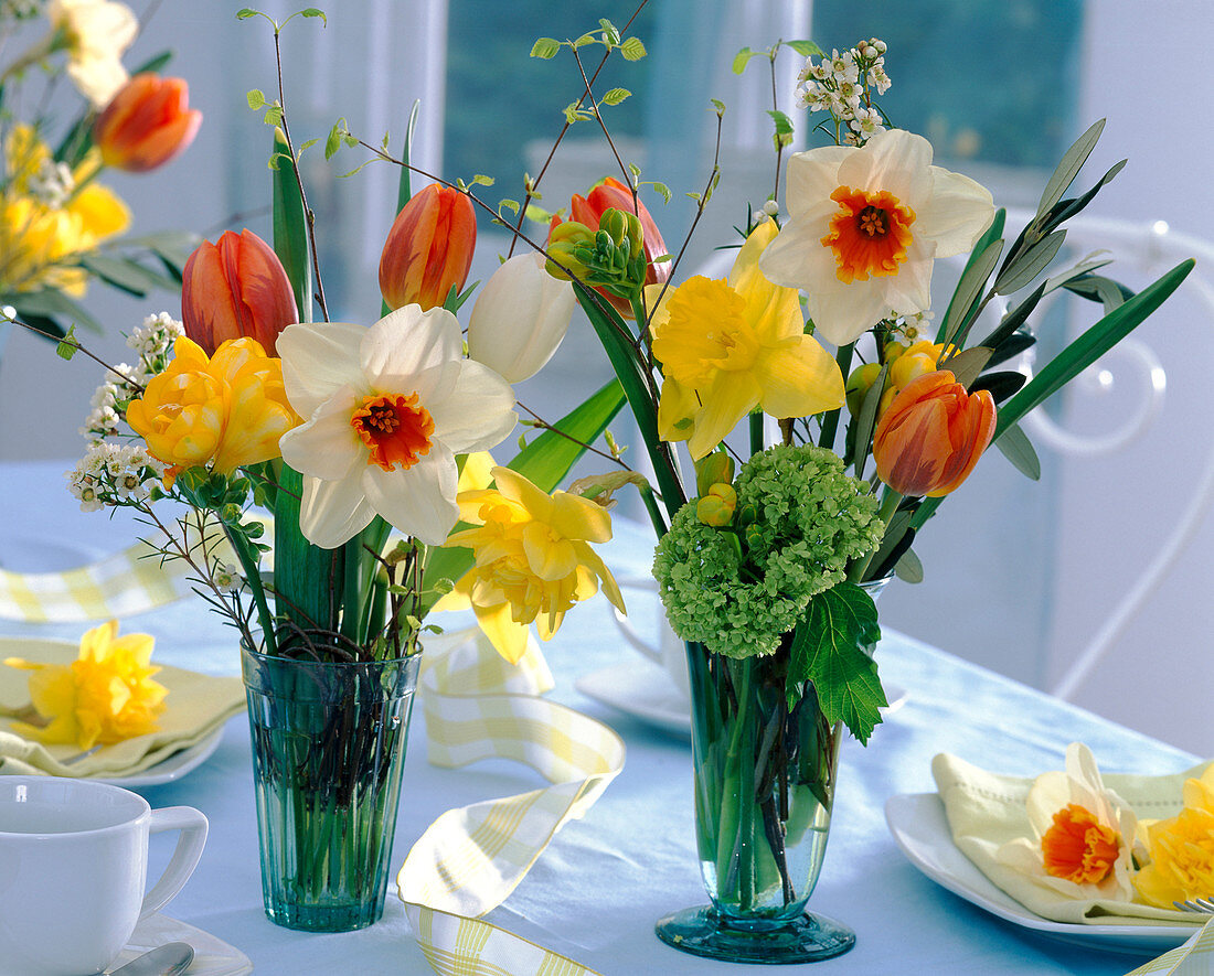Bouquets with Narcissus (Narcissus), simple and blooming, Tulipa