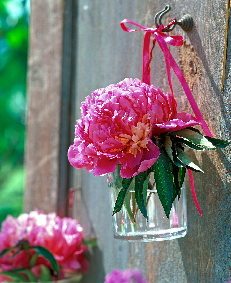 Suspended glass with peony blossom