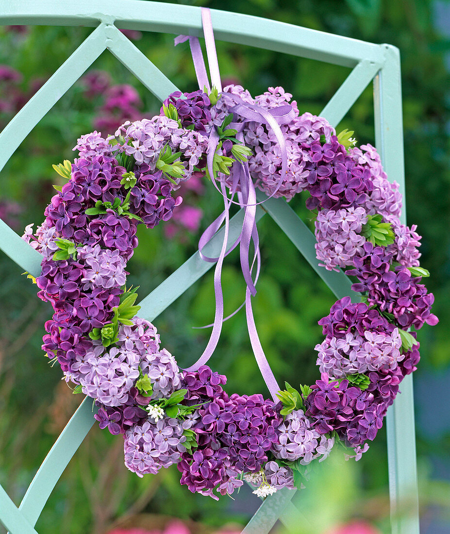 Lilac wreath with woodruff