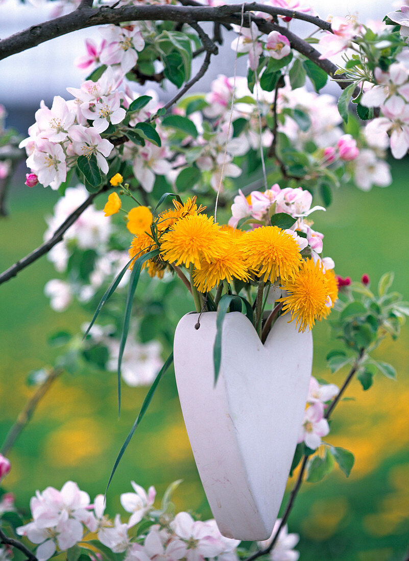 Taraxacum (dandelion) and grass in white heart vase