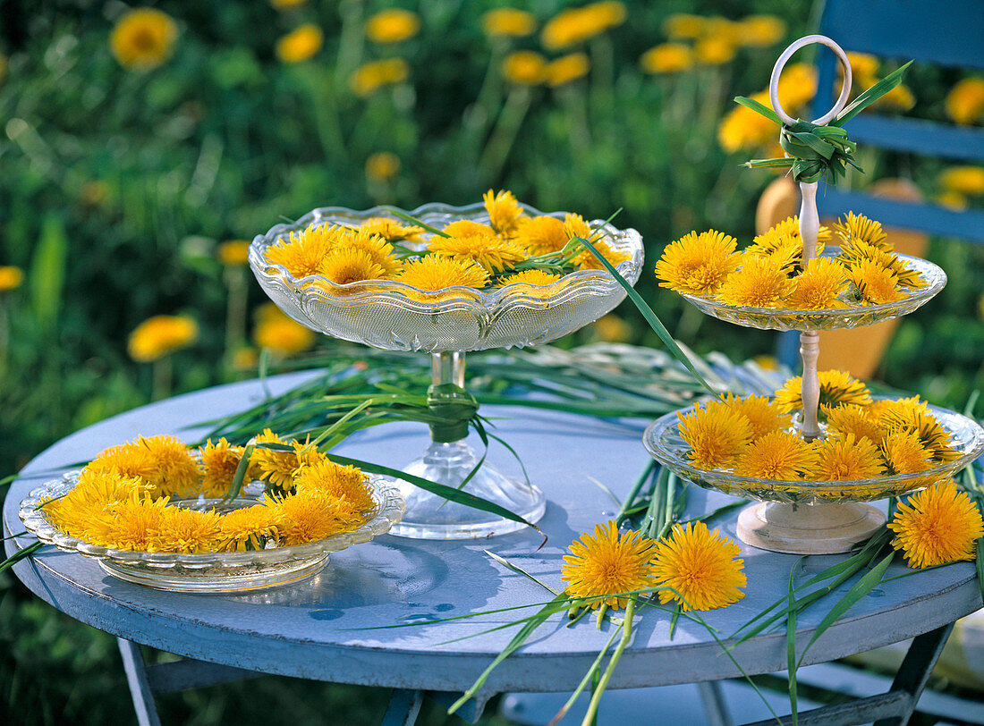 Taraxacum in etagere, in bowl and as a wreath on glass plates