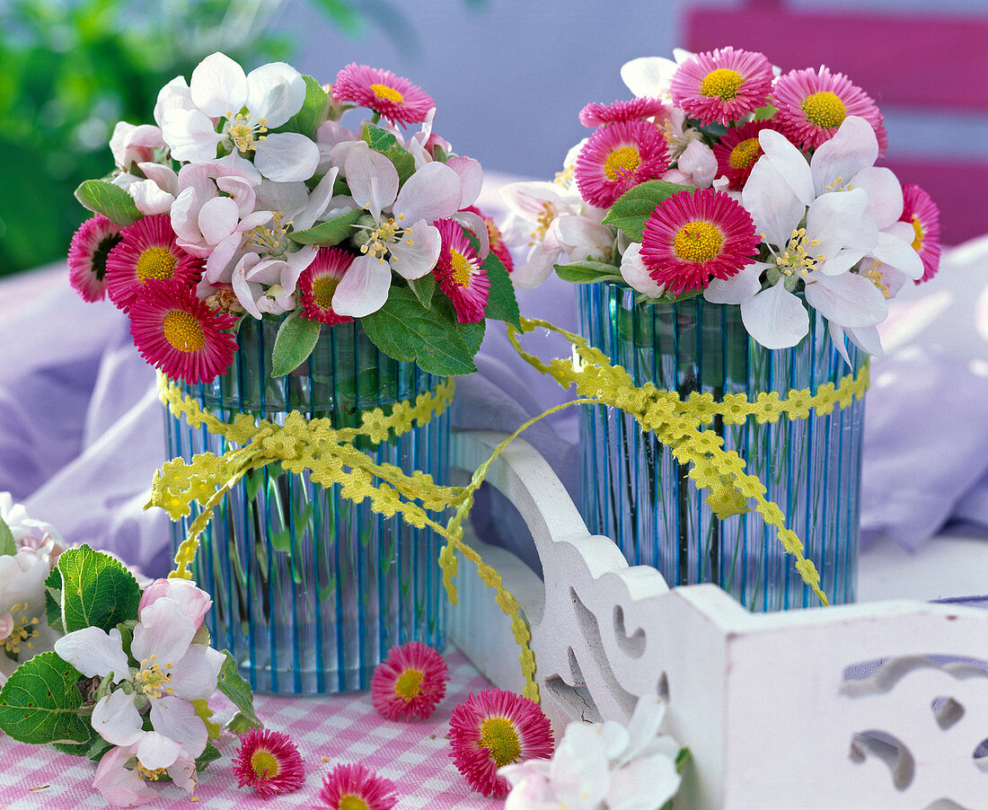 Malus and Bellis in small blue-striped vases