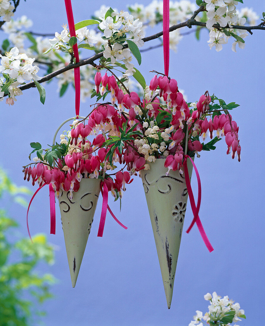 Dicentra (Bleeding Heart), Convallaria (Lily of the Valley)