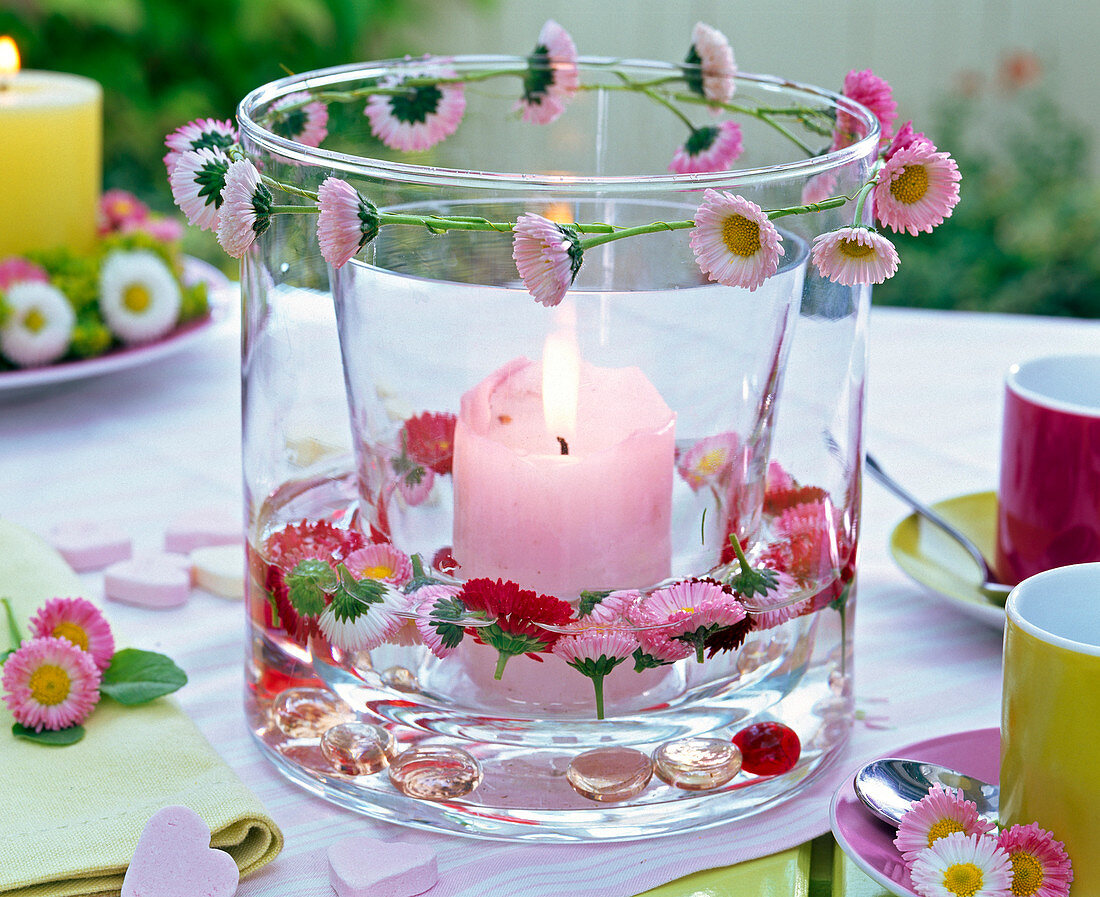 Bellis flowers as a wreath floating in water