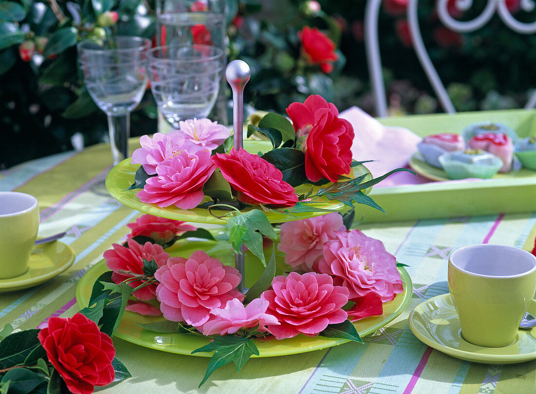 Camellia blossoms (camellia) on green cake stand, espresso cups