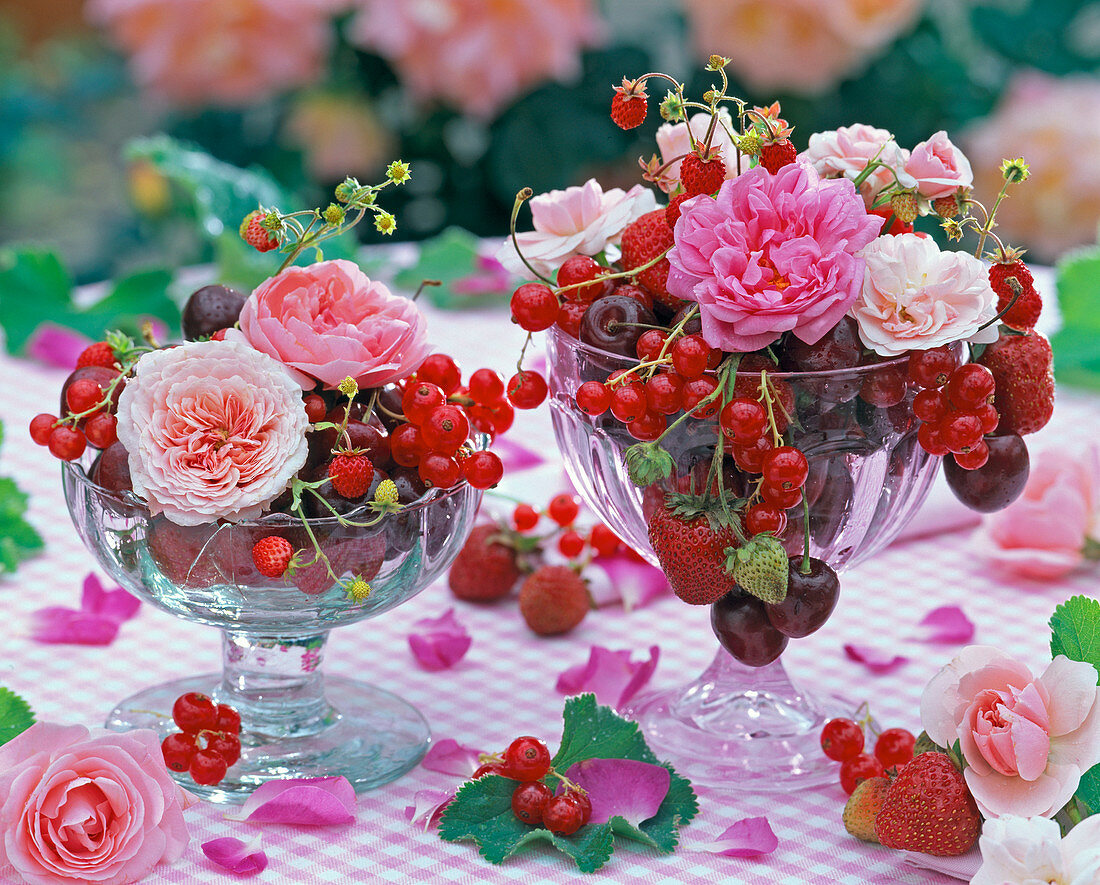 Blüten von Rosa (Rosen), Fragaria (Erdbeeren), Ribes (Johannisbeeren)