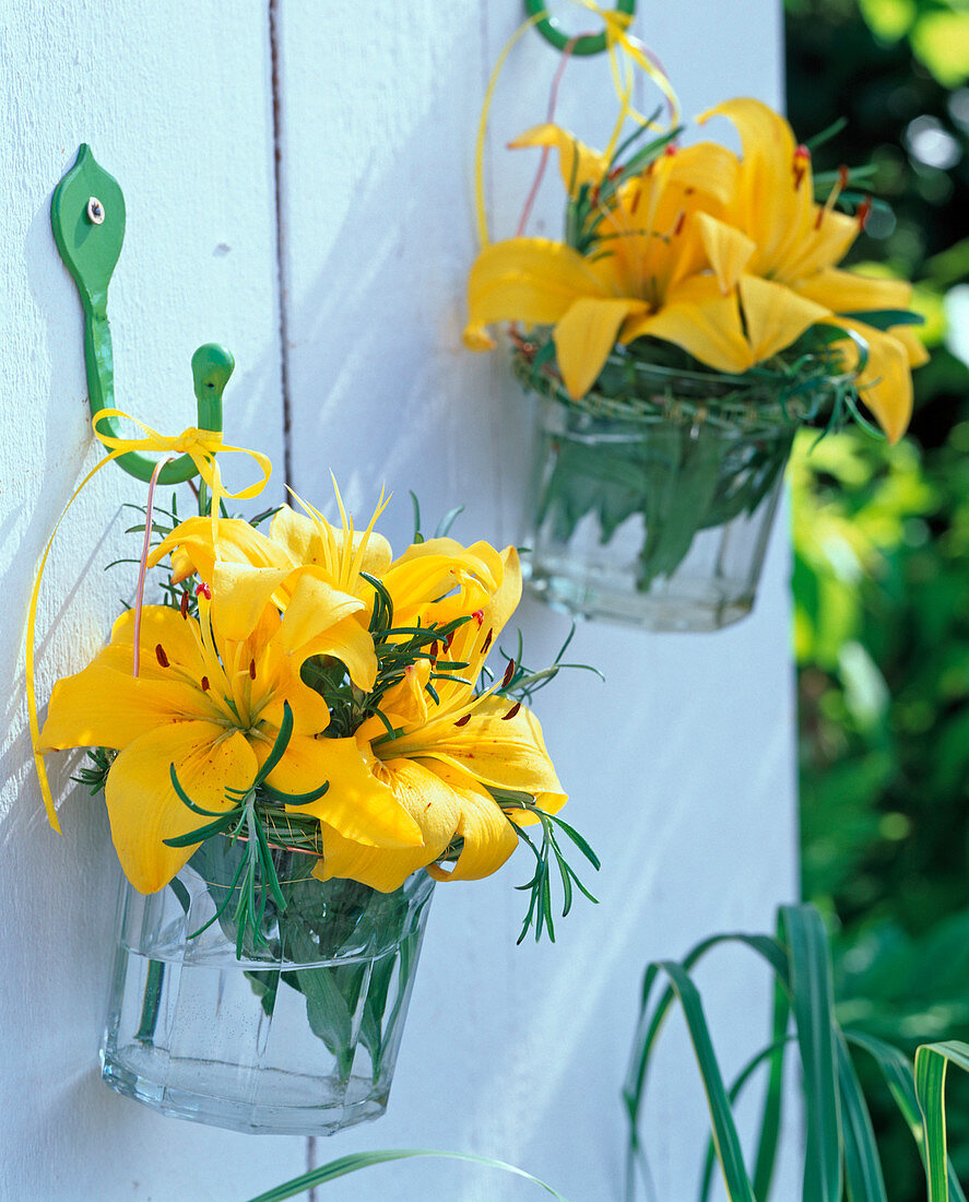 Yellow Lilium (lily) flowers hung in glasses on the wall