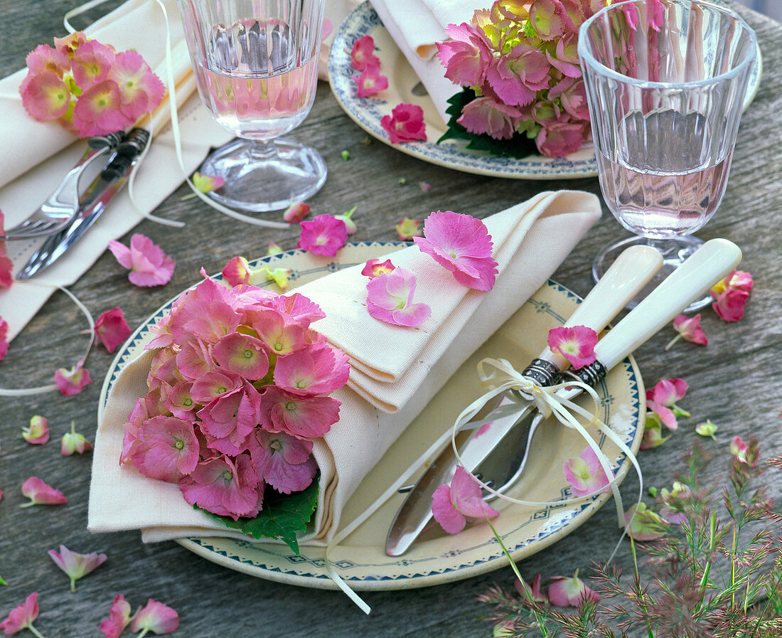 Blüten von Hydrangea (Hortensie) in weißer, tütenartig gerollter Serviette