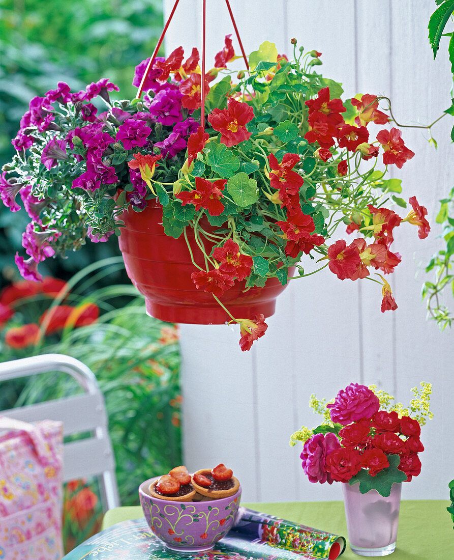 Spray red hampers in red