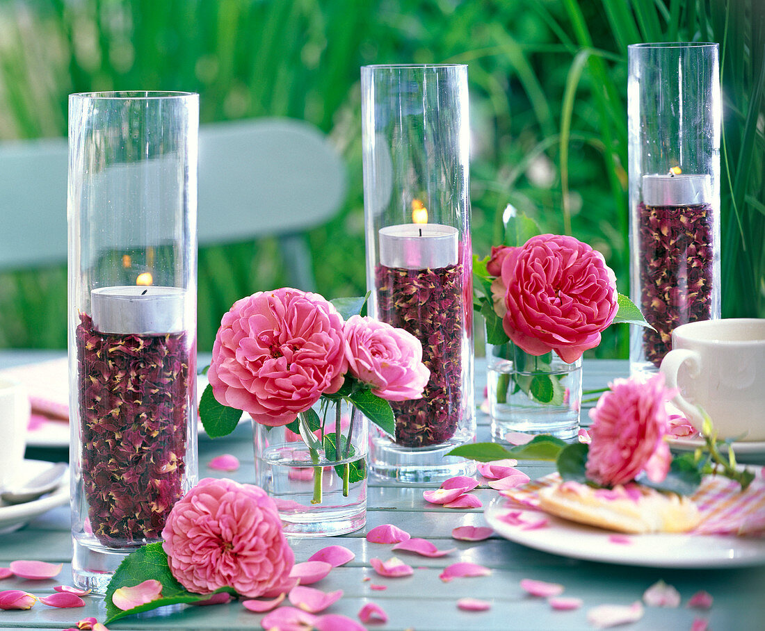Windlichter in hohen Gläsern mit getrockneten Blütenblättern von Rosa (Rosen)