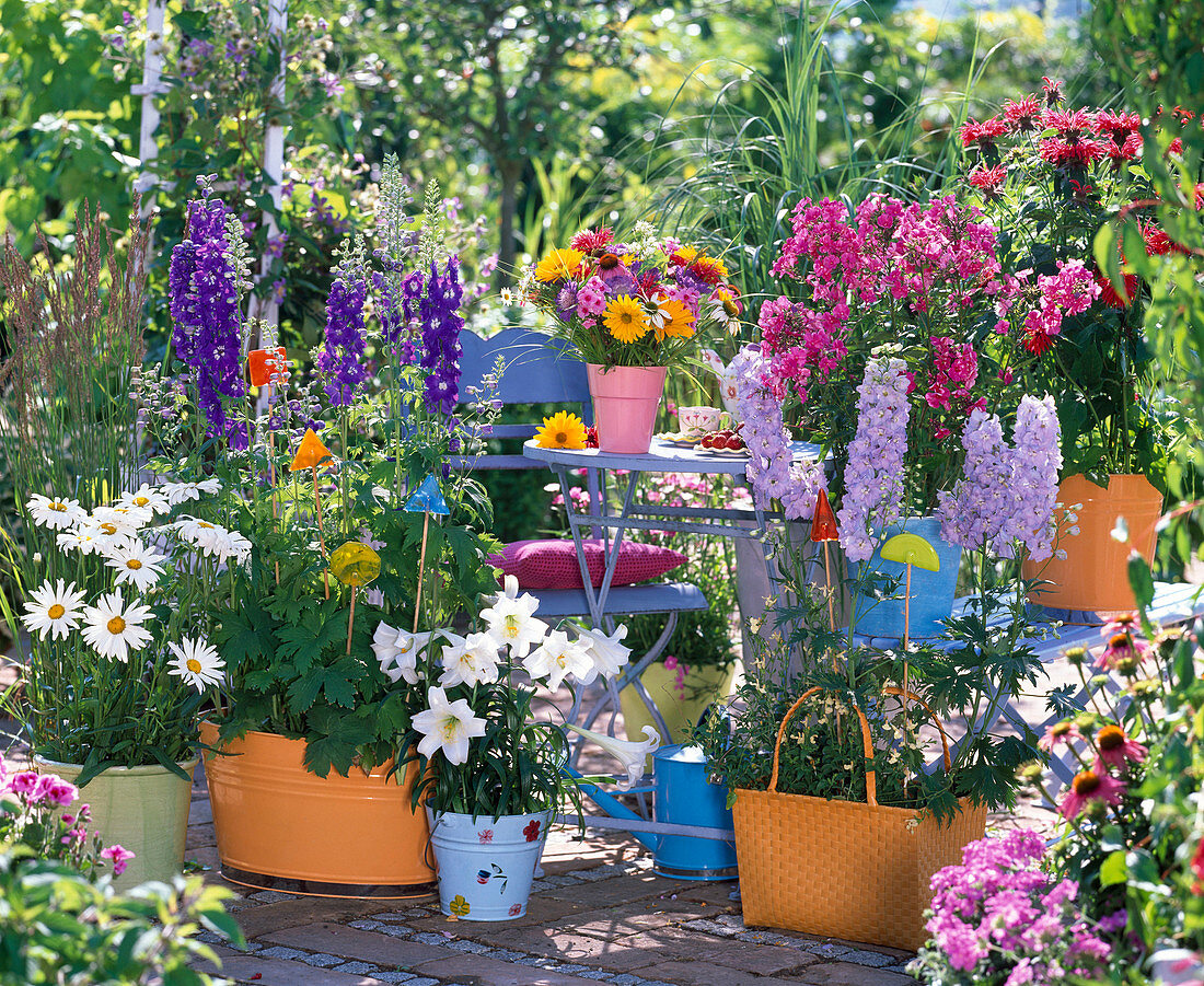 Delphinium (Rittersporn), Phlox (Flammenblume), Lilium