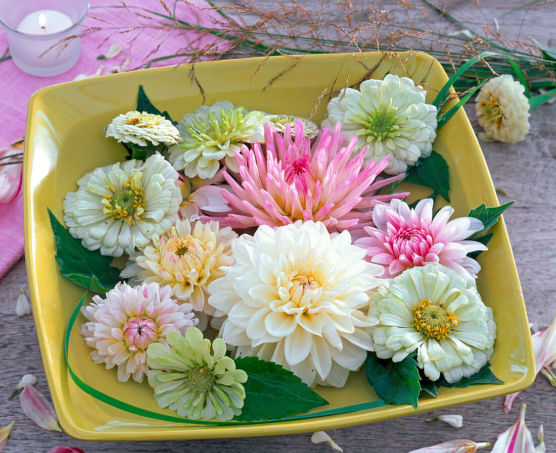 Flowers and leaves of zinnia, dahlia and grass in shell
