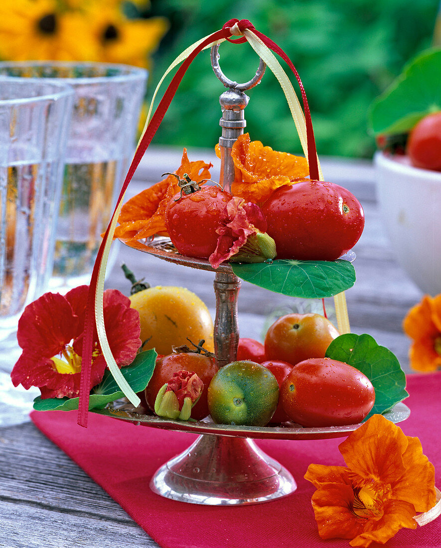 Etagere mit Lycopersicon (Tomaten), Cucurbita (Zucchini), Tropaeolum