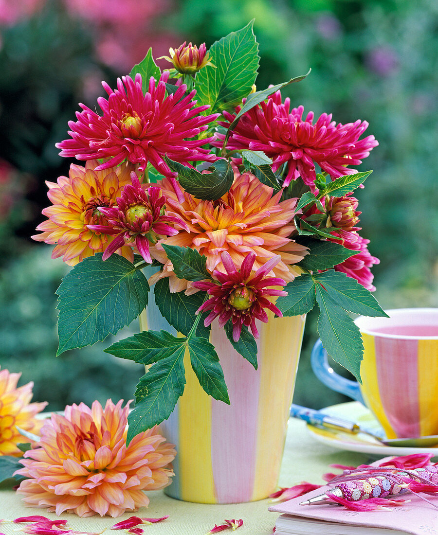 Bouquet made of dahlia in striped vase