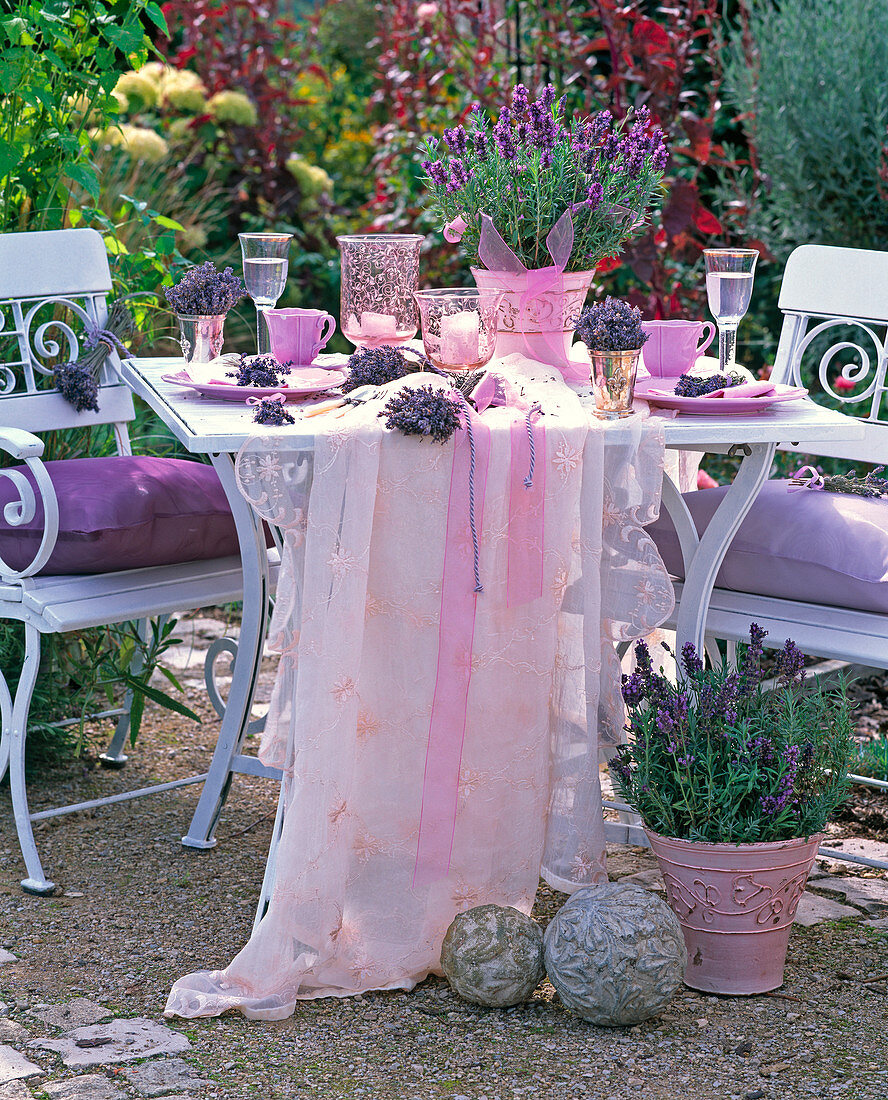 Lavandula (Lavendel) in rosa Relieftöpfen vor und auf weißem Tisch, Stühle