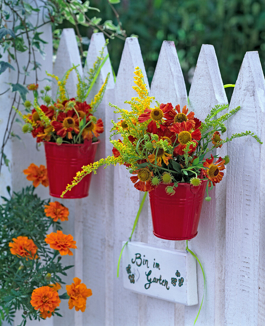 Helenium, Solidago in small red buckets