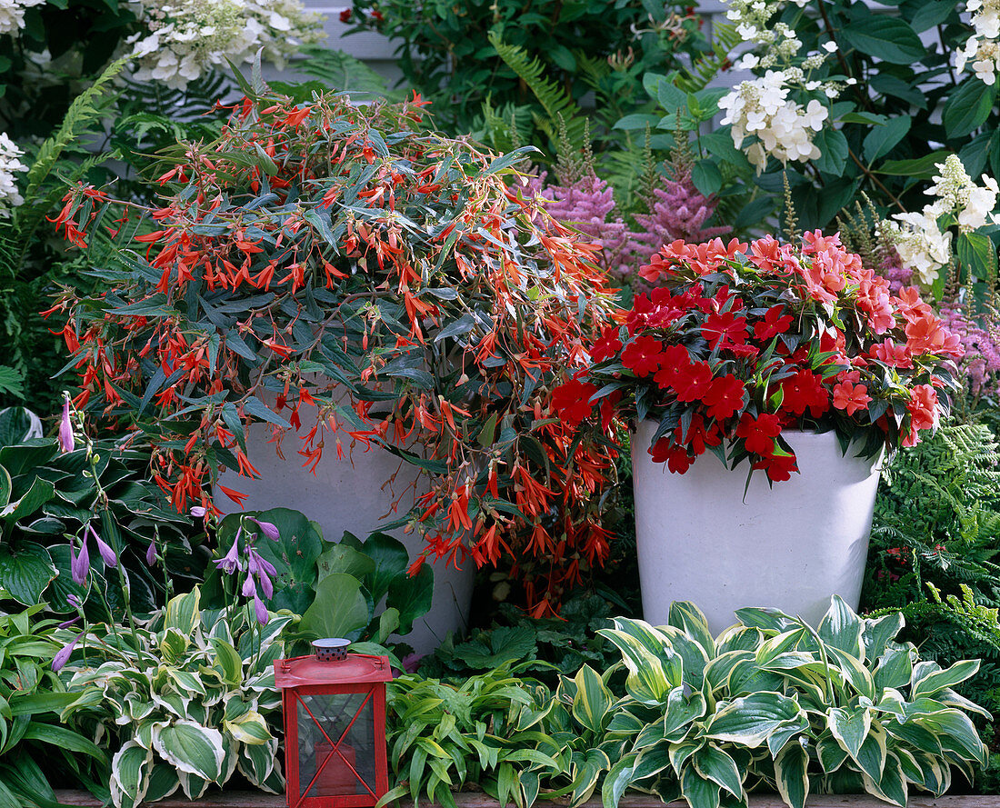 Pots with begonias and impatiens in the shade-bed