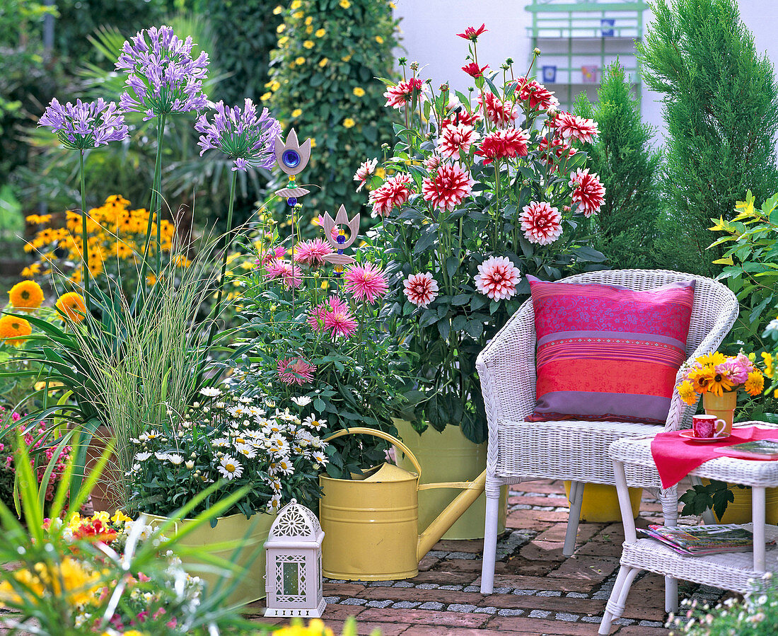 Terrace with dahlias, lily and wicker furniture