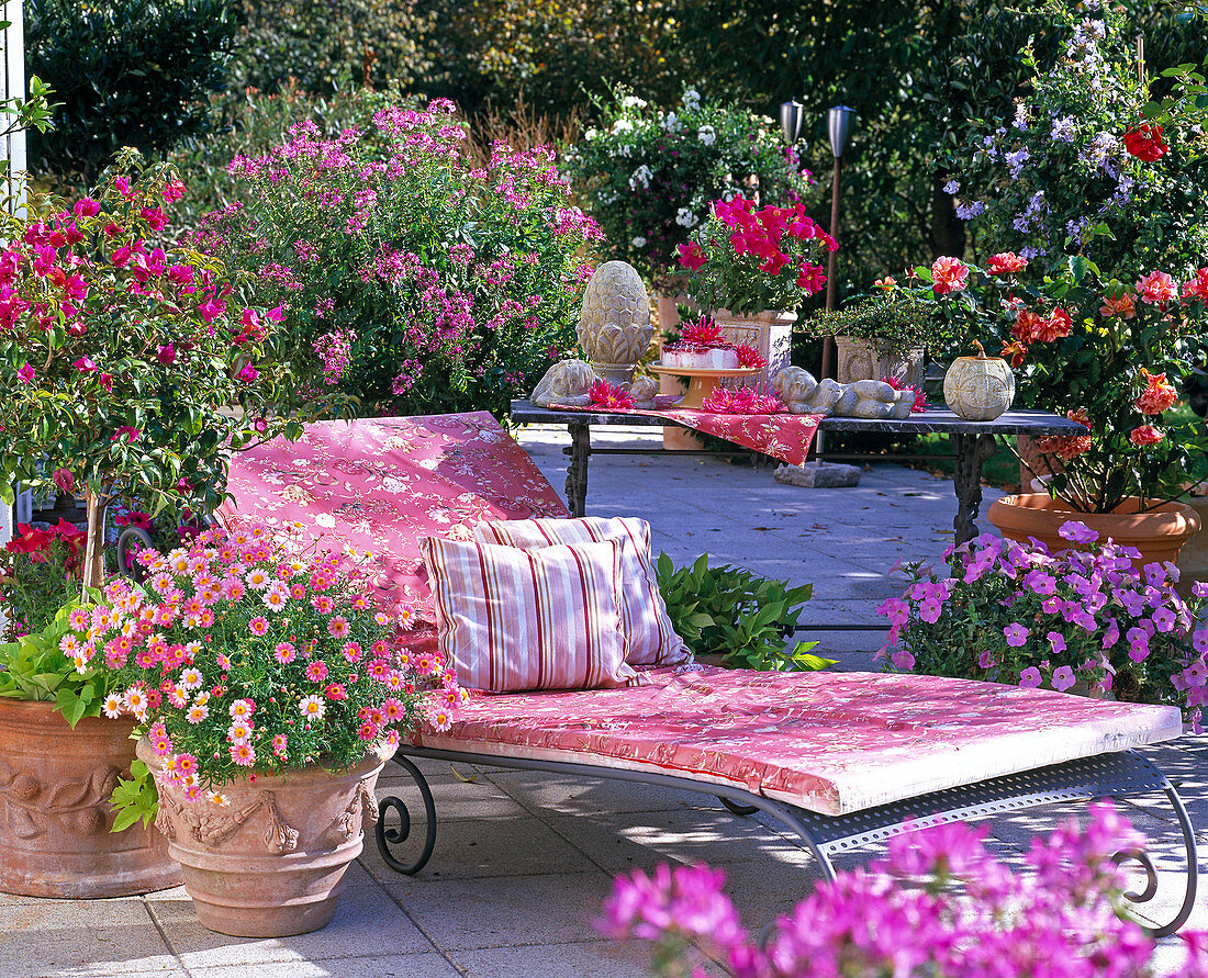 Pink-pink-red terrace with sunbed