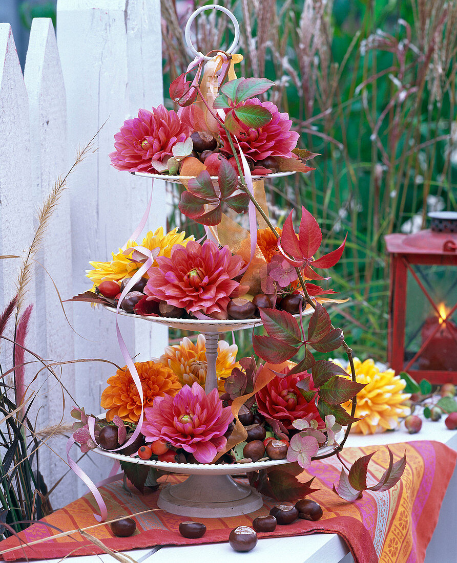Etagere gefüllt mit Blüten von Dahlia (Dahlien) und Aesculus (Kastanien)