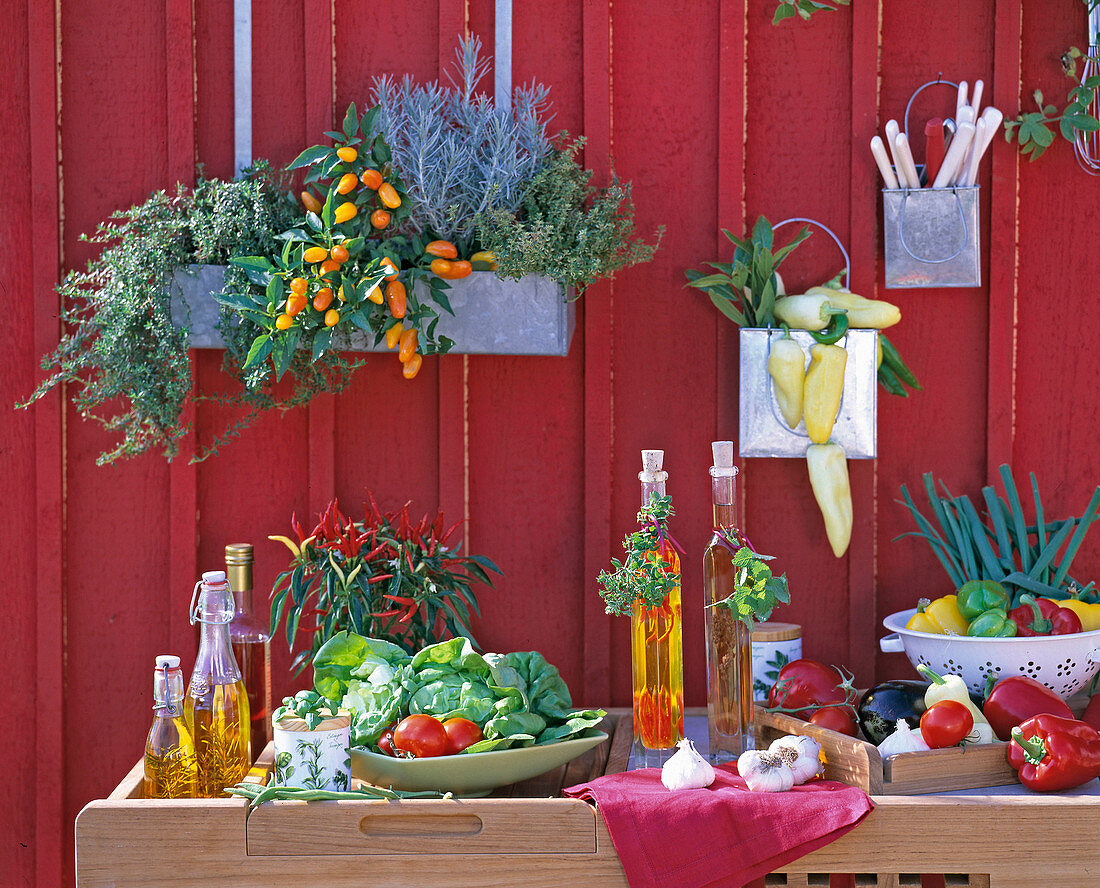 Outdoor kitchen, herbs, vegetables, vinegar, oil, cutlery